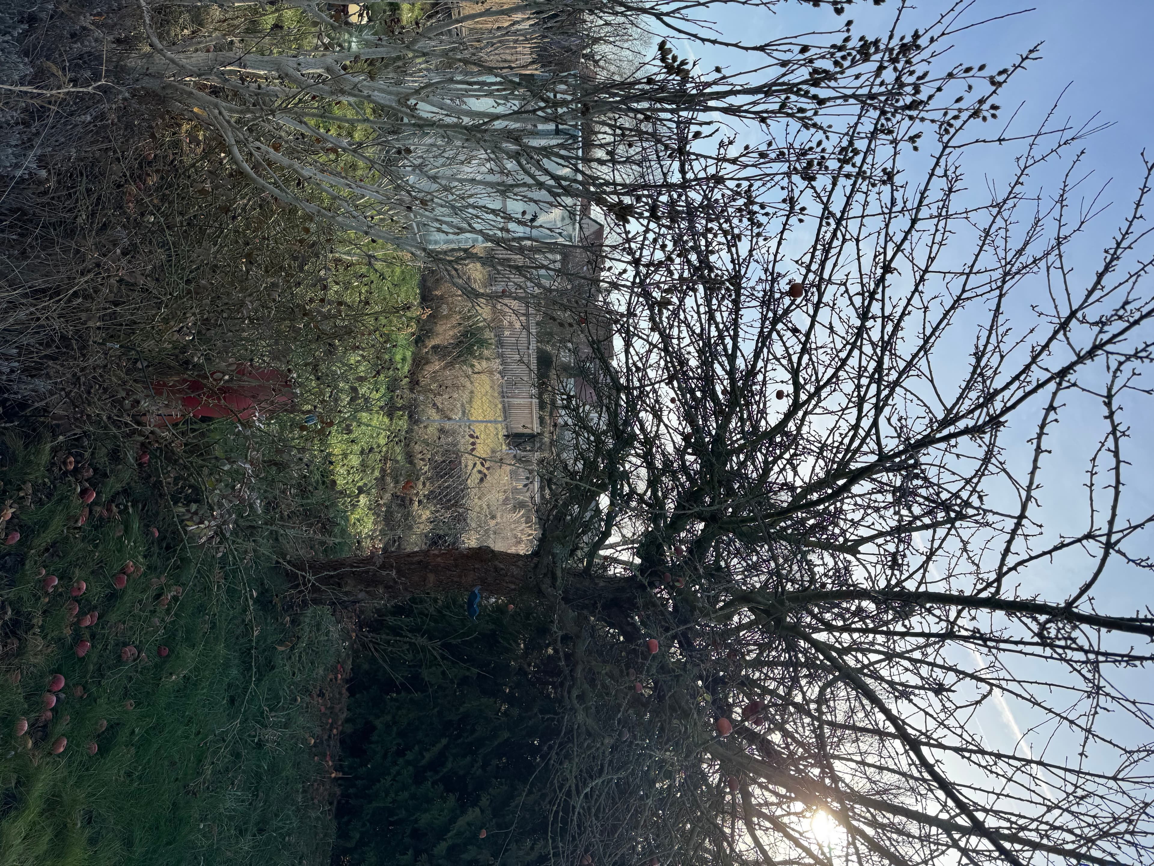 Garten 25a, 264 m², bietet eine solide Grundlage mit einem alten Apfelbaum und einem bereits eingerichteten Hochbeet. Das geräumige Gartenhaus verfügt über eine geflieste Veranda – ideal zum Sitzen und Werkzeug lagern. Am Dach besteht ein älterer Wasserschaden, der behoben werden sollte. Großflächige Koniferen auf dem Grundstück bieten Sichtschutz, sollten jedoch mittelfristig entfernt werden – wer das selbst übernimmt, spart 100 € bei der Ablöse (dann 800 € statt 900 €).