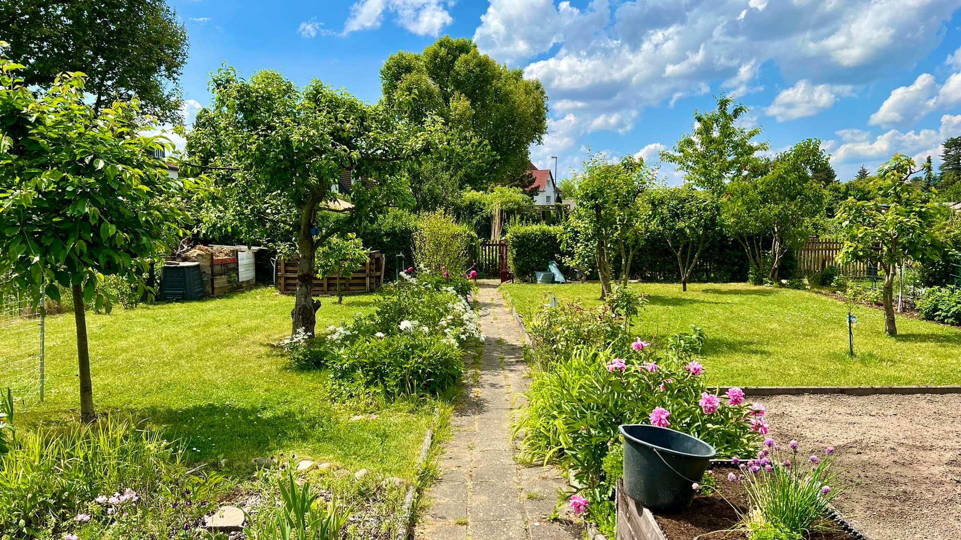Unser Vereinsgarten im Sommer